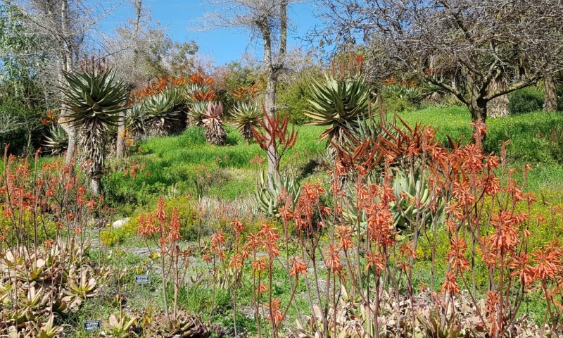 האביב כבר פה: תיעוד מרהיב שפותח את הלב. צפו