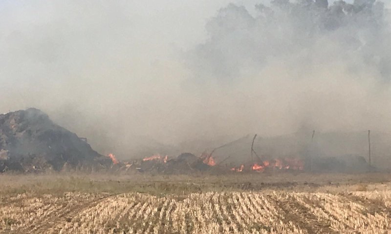 שריפה בדרום: תושבי מושב ברכיה פונו מבתיהם