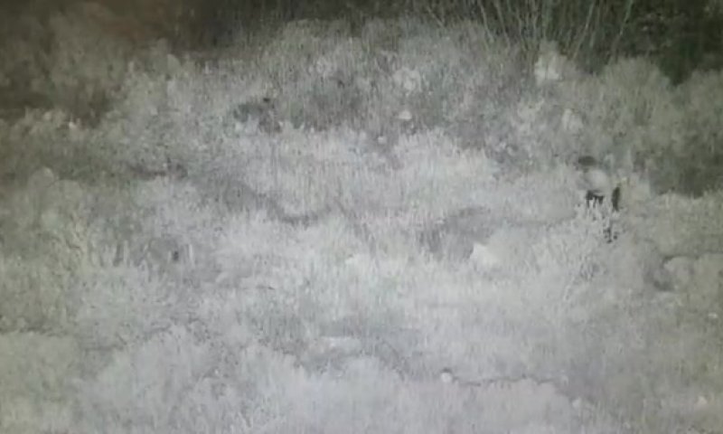 עם נשק ביד: תיעוד המחבל שניסה לחדור לקדומים