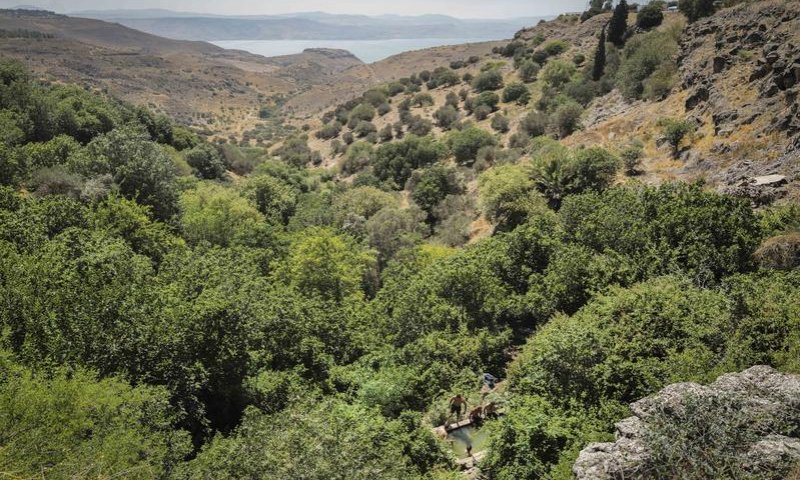 מחזה מדאיג בצפון: "מתקרבים להכרזה על מצב חירום"