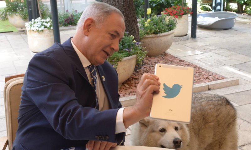 קאיה הכלבה של משפחת נתניהו, הלכה לעולמה