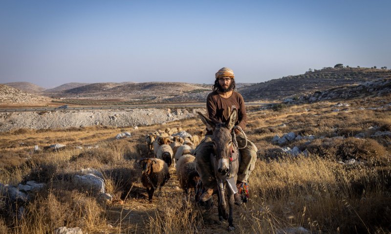 החוות והגבעות שמסכלות את תוכנית פיאד: פרק 3 &ndash; גבעת שדה יונתן