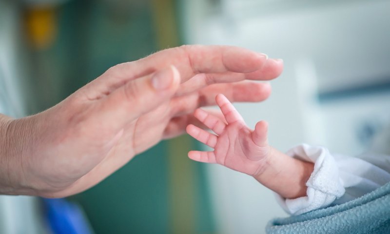 גוזל שנפל מן הקן: להביא פג לעולם | טור אישי