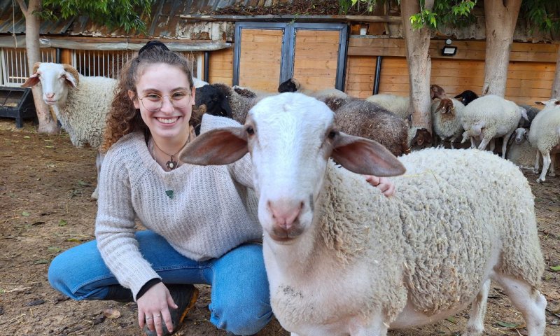 נס החנוכה שלהם: בואו לפגוש את בעלי החיים שהמזל האיר להם