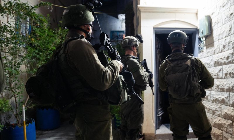 בפעילות בנור א שמס: צה"ל עצר בכיר בגדוד טול כרם