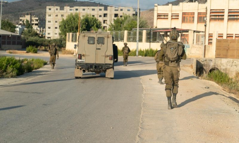 המערכה נגד הטרור: מטען ו-8 נשקים נתפסו באיו"ש