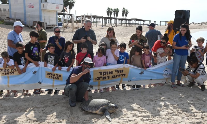 מרגש: ילדי העוטף השיבו צבים שנפגעו בחזרה לים