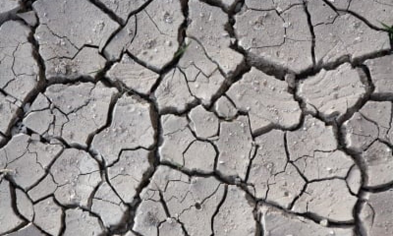 הרב שרלו: מה ניתן לעשות בעולם הרוחני מול הבצורת?