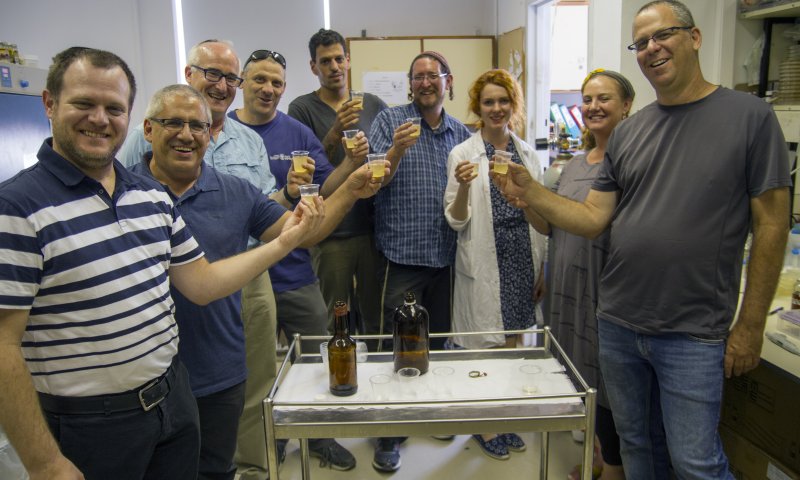 מטורף: חוקרים ייצרו בירה משמרים מתקופת המקרא