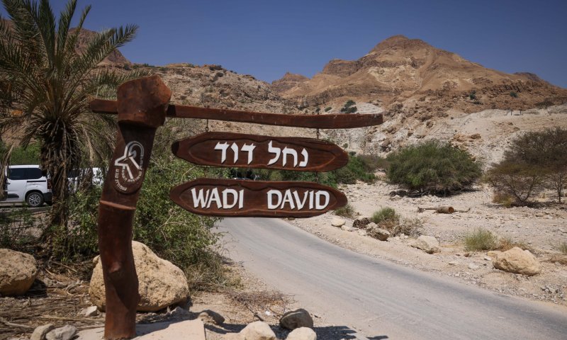 בן ה-8 שניצל מהאסון בנחל דוד: "חטפתי סלע בראש"