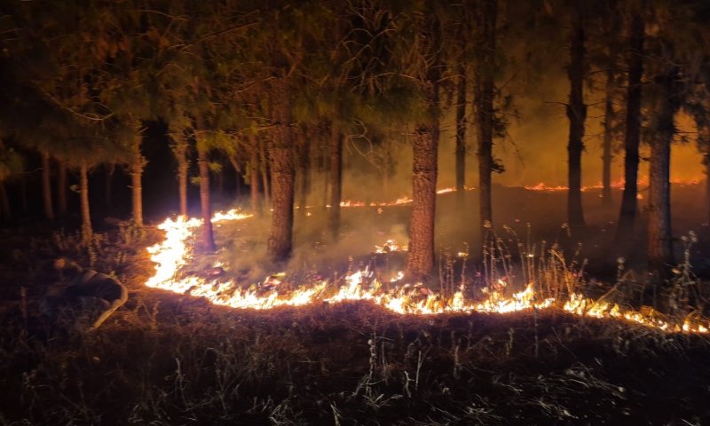 גם אחרי החשכה: שריפות נוספות פורצות ברחבי הארץ