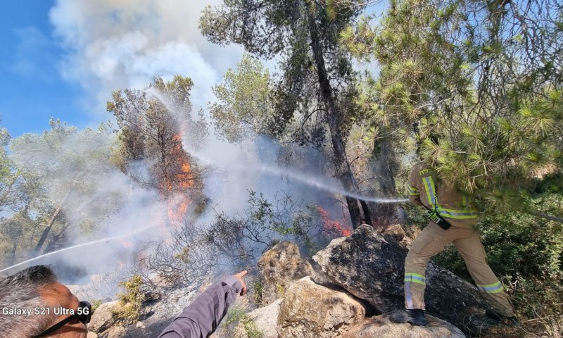 שריפת קוצים בסמוך לכפר אוריה, הבתים באזור בסכנה