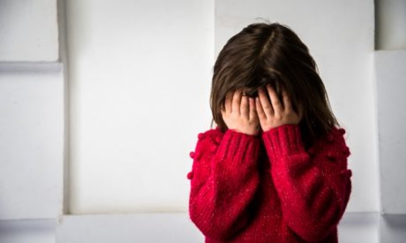 אביה של כוכבת ילדים חשוד שהטריד מינית מעריצות