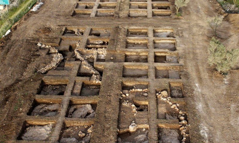 החוקרים מצאו: האדם הקדמון אכל חומוס ופול