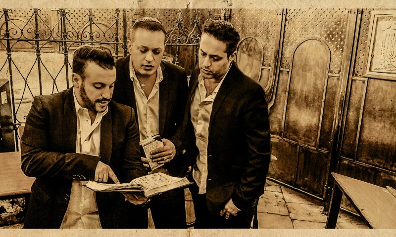 צפו: הפרויקט של רביבו מתחזקים