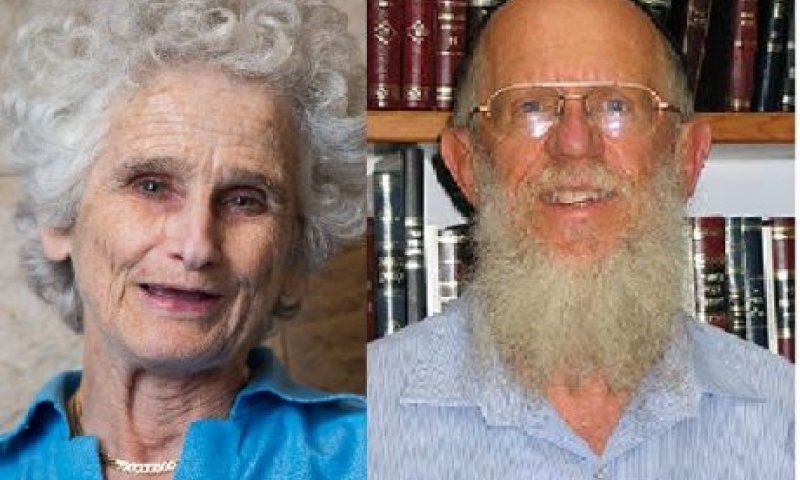 אמנת גביזון- מדן מקסימה, אבל אסור לנו לשאוף לשם