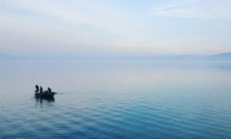 תוך פחות משבוע: מפלס הכנרת בעוד נתון מטורף