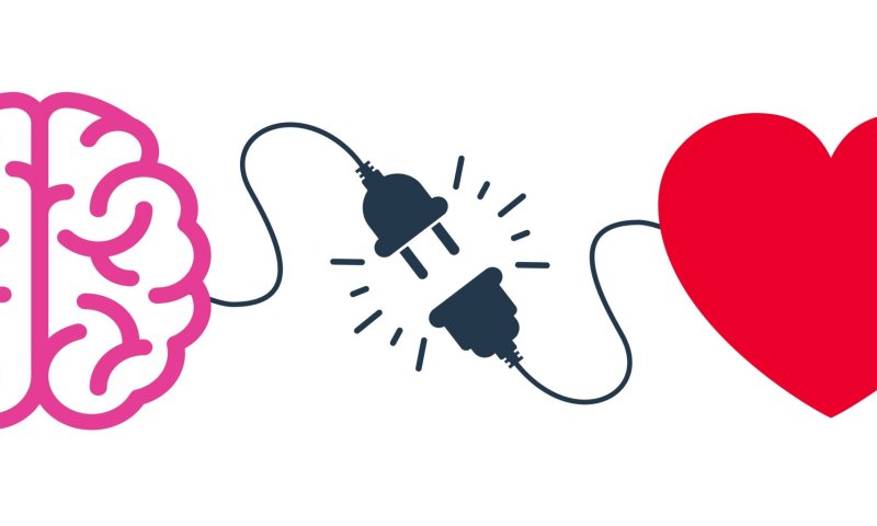 איבדת את דעתך