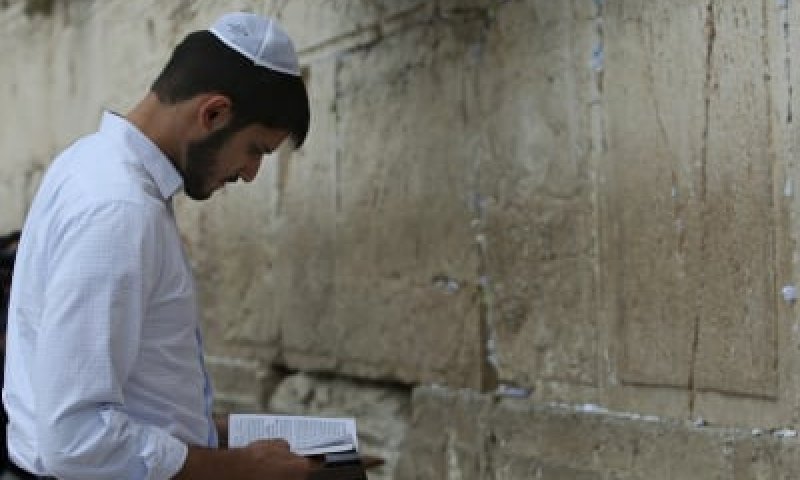 משכמו ומעלה: עומרי כספי בתפילה בכותל המערבי