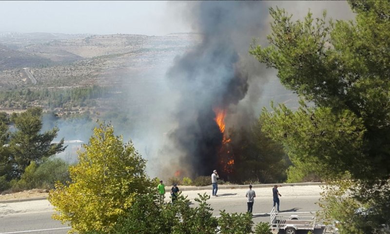 דולב: שריפת יער גדולה פרצה בסמוך לשכונה  ביישוב
