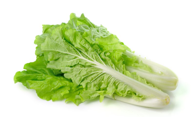 לקראת הפסח: עליה של 500% בצריכת החסה