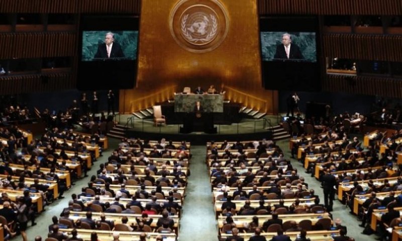 המומחית לא קבעה שישראל ביצעה רצח-עם  ותפוטר