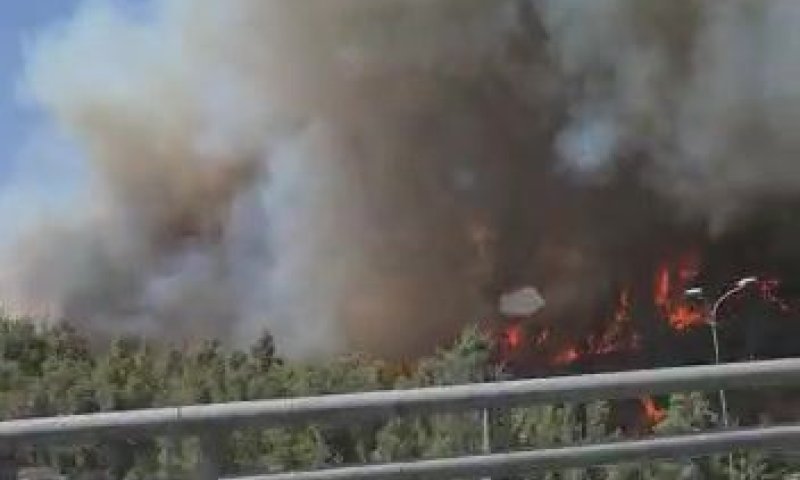 שריפת ענק ליד מבשרת ציון: תושבים פונו מבתיהם