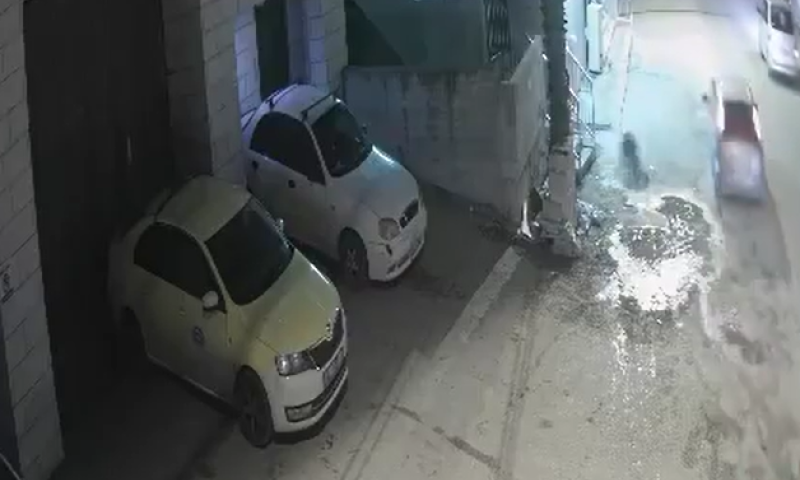 דרמה לילית בשכם: חסידי ברלנד חשודים בדריסת פלסטיני. צפו