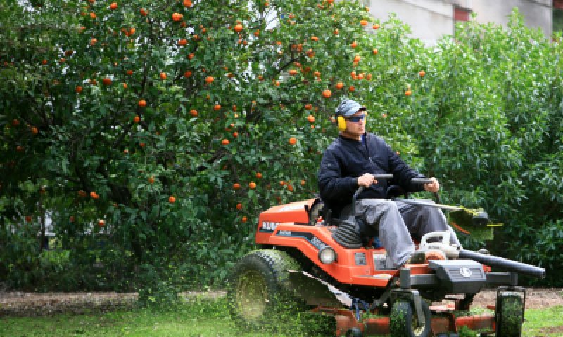 מה מותר, ובעיקר מה אסור לעשות בחול המועד? צפו