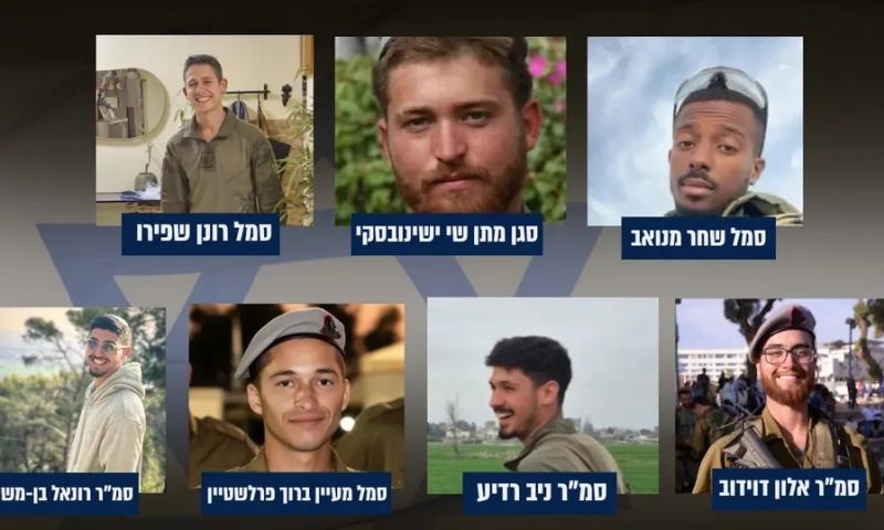 "נמאס לחיות עם המצפון": תגובות הסלבס לאסון בעזה