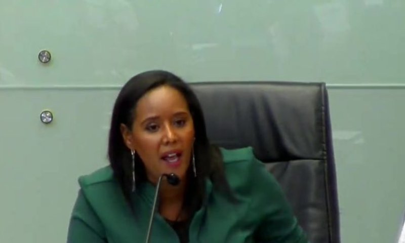 תמנו שטה נגד מיכאלי: 'הכל אצלך פוליטי'. צפו