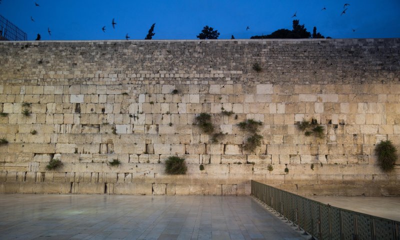 הכותל הדרומי? פני הדור כפני הכותל