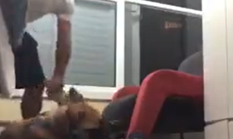 פרסם סרטונים של התעללות בכלבו, המונים הפגינו בחוץ