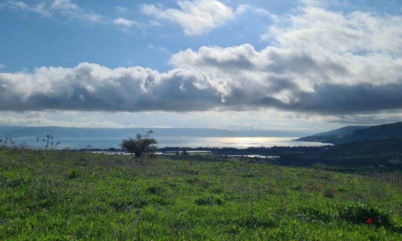כמויות אדירות של מים: מפלס הכנרת בנתון אדיר