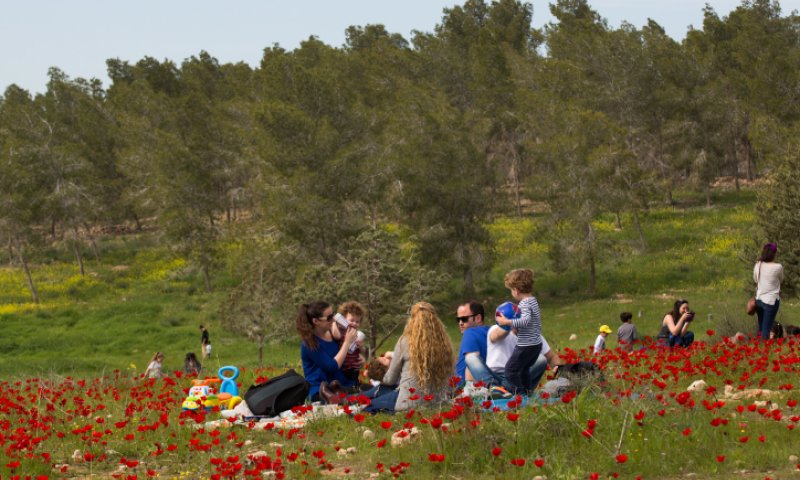 גל חום באמצע החורף: התחזית לימים הקרובים