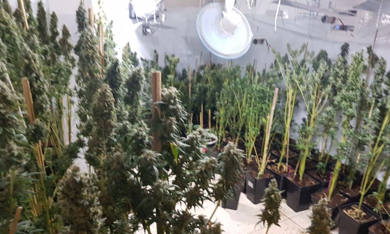 עשרות ק"ג של סמים נמצאו ביישוב בבנימין