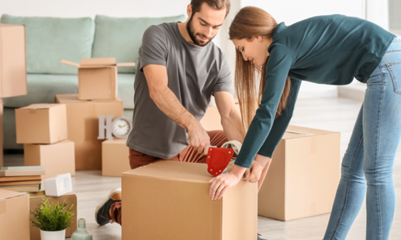 מה חשוב לבדוק לפני שסוגרים חברת הובלה?