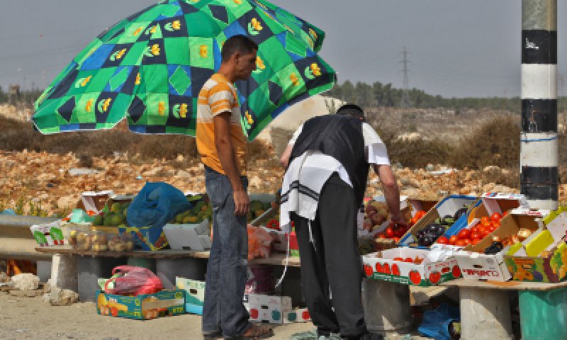 סוחרי שביעית: יבול נכרי יקר ב-200% מהיתר מכירה