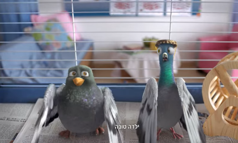 הסלב שיחליף את היונים בפרסומת של ביטוח ישיר