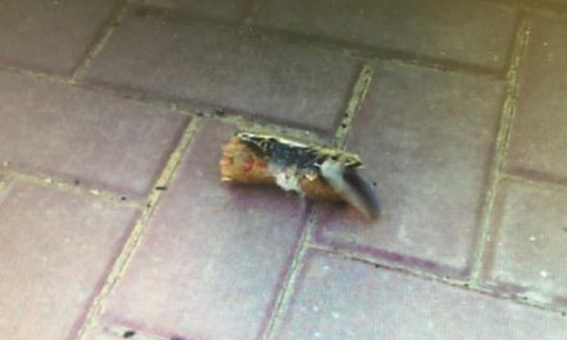 פריט תבערה נחת סמוך לגן ילדים בשדרות