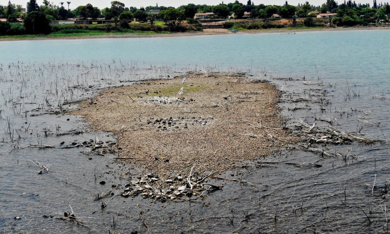 עצוב: מפלס הכנרת מתקרב לקו האדום והאי נגלה מחדש