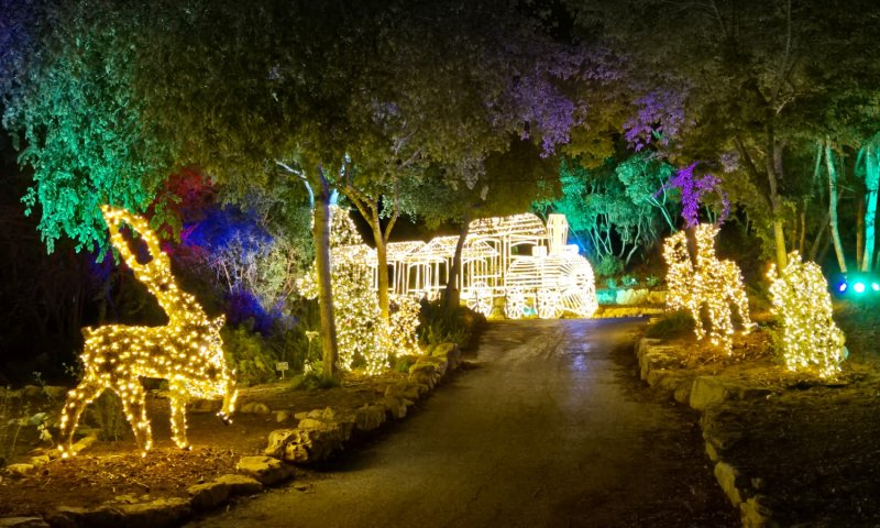 אתם תהיו בירושלים אבל תרגישו בחו"ל: הפסטיבל שמבטיח &ndash; ומקיים