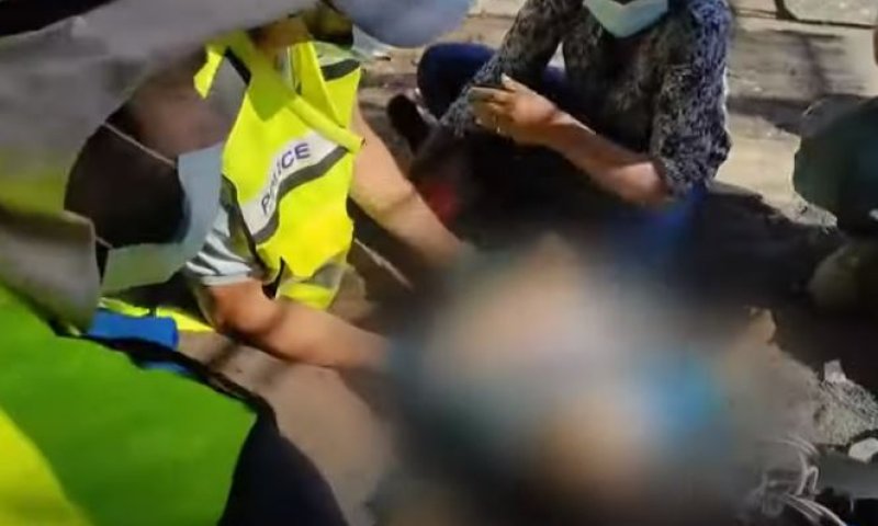 מזעזע: תנין בחוות תנינים נשך פעוט, מצבו קשה