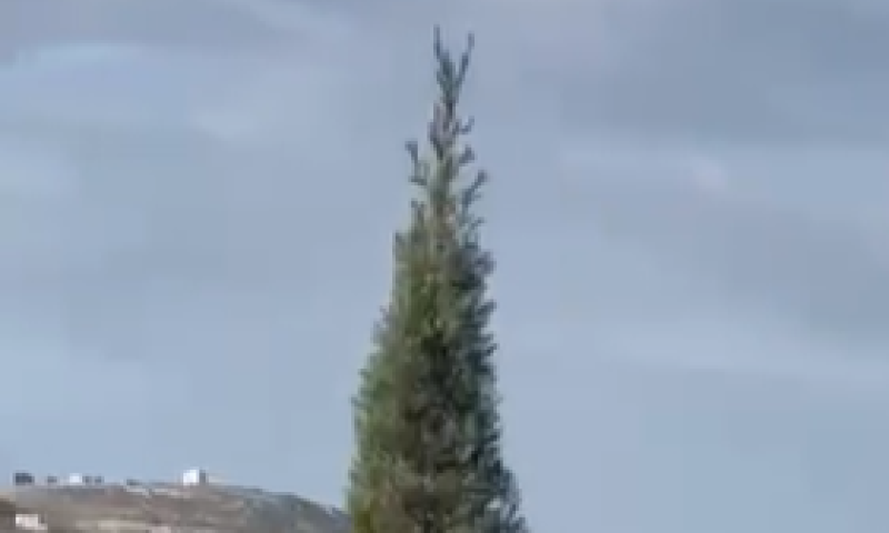 צפו: מסוק קרב פתח בירי על מחבל בבנימין