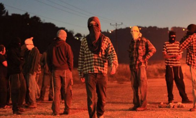 צלם העיתונות שהוכה: "התחננתי לחיילים, הם צחקו"