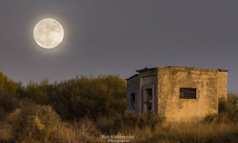 הצביעו והשפיעו: מצעד התמונות של 'סופר-מון'