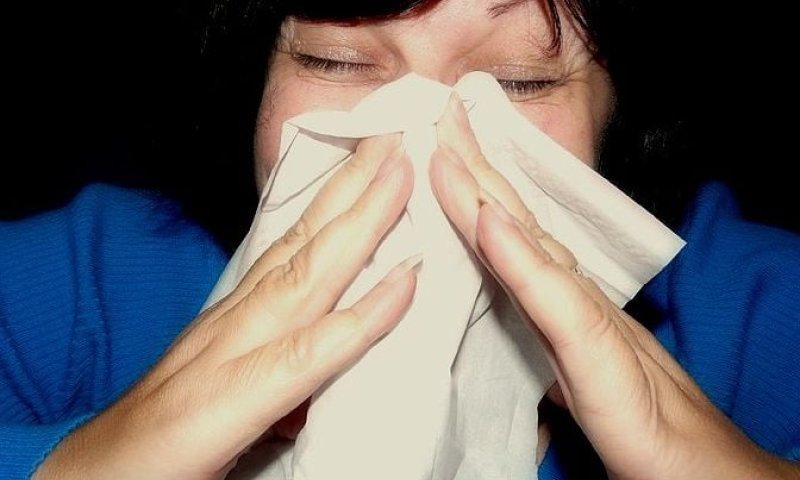 האף דולף? העיניים דומעות? פריחה? הכירו את האלרגיה העונתית