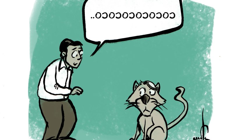 קריקטורה: בעקבות השתלחות ש"ס בכיפות הסרוגות