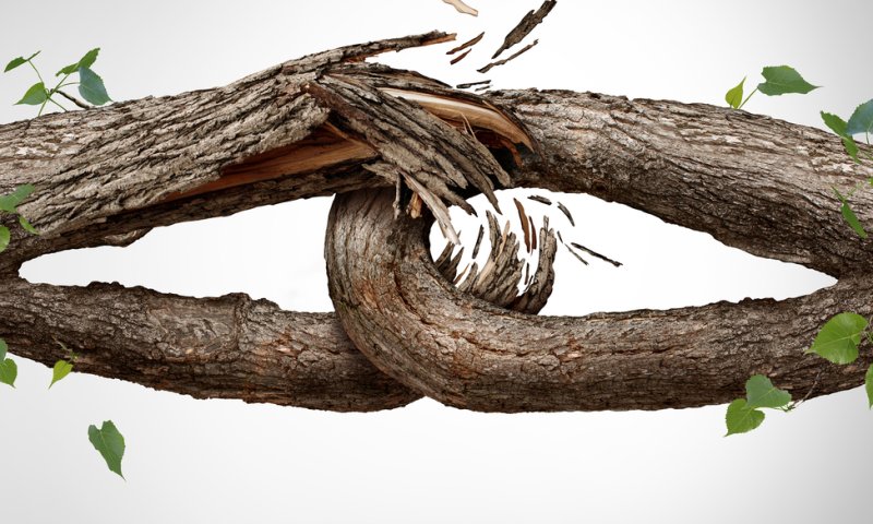 "אני לא יכולה להגיד לא לאף אחד"