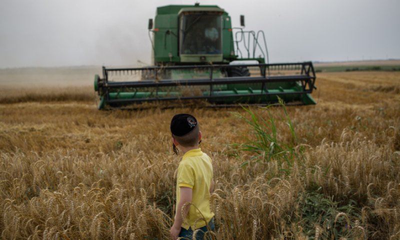 בגלל המלחמה: דיון דחוף בנוגע למחסור במזון